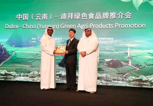 Screenshot 2025-11-16 145435